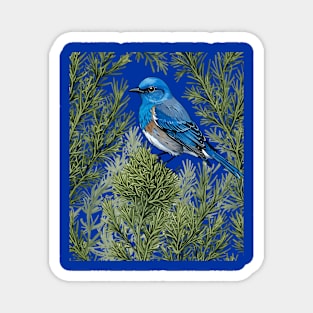 Nevada Mountain Bluebird And Sagebrush 1 Magnet