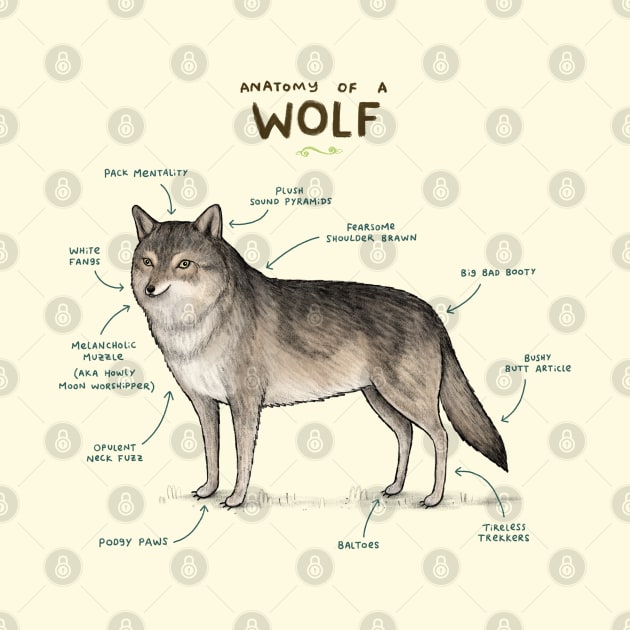 Anatomy of a Wolf by Sophie Corrigan