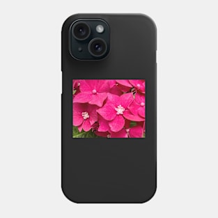 Perfection of the Pink Hydrangea Phone Case