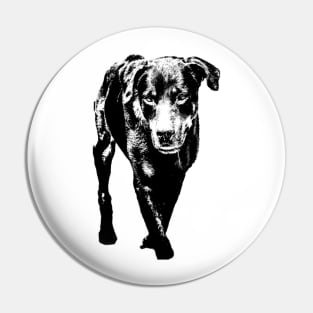 rottweiler Pin