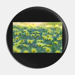 Spring meadow Pin