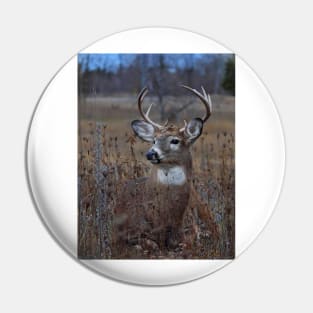 Splendor in the Grass - White-tailed Deer Pin