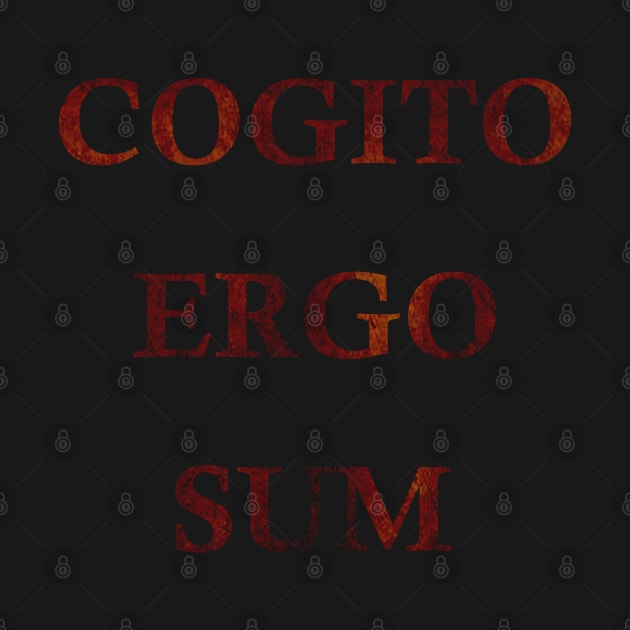 cogito ergo sum by omitay