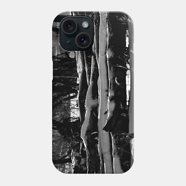 Winter in Black & White. Phone Case by CanadianWild418