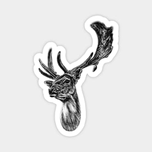 Fallow deer stag Magnet