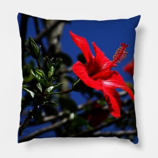 Harmony and love with red hibiscus Pillow