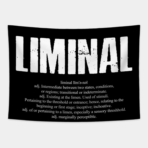 Liminal Dictionary Word Definition Tapestry by AltrusianGrace