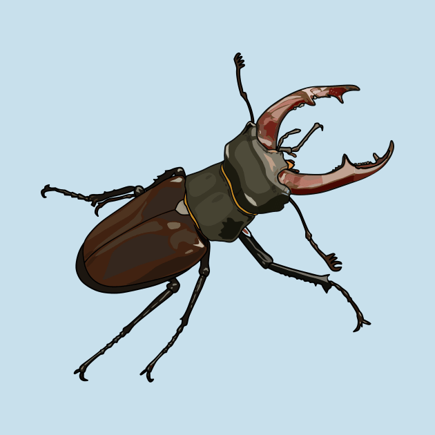 Stag beetle cartoon illustration by Miss Cartoon