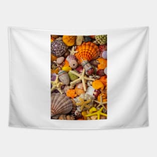 Tropical Shell Collection Tapestry