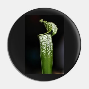 Green Pitcher Plant Study Pin