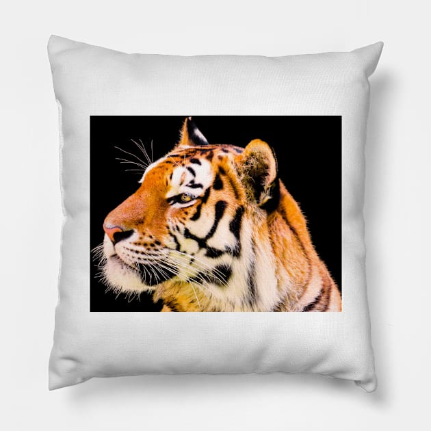 Tiger Pillow by kawaii_shop