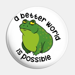 A Better World Is Possible Pin