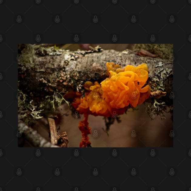 Witches' Butter Mushroom by Rebekah Slick