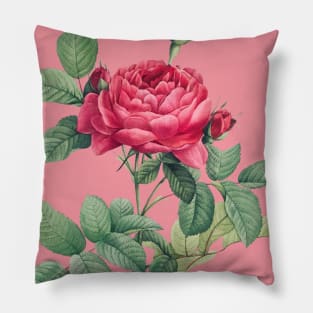 Red Rose Flowers with Green Leaves Pillow