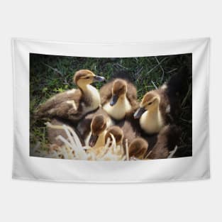 Ducklings Tapestry