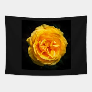The Yellow Rose Tapestry