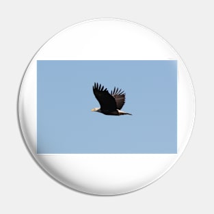 Bald Eagle in Flight Pin