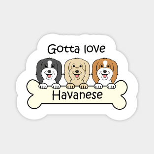 Gotta Love Havanese Magnet