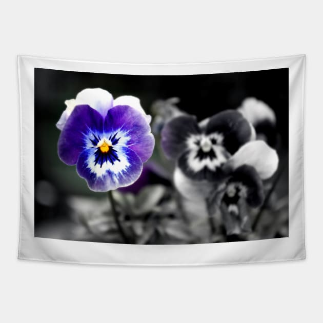 Blue Pansy Pansies Violas Summer Flowers Tapestry by Andy Evans Photos