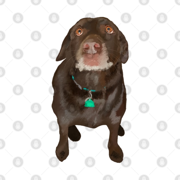 Chocolate Labrador Dog by Booneb