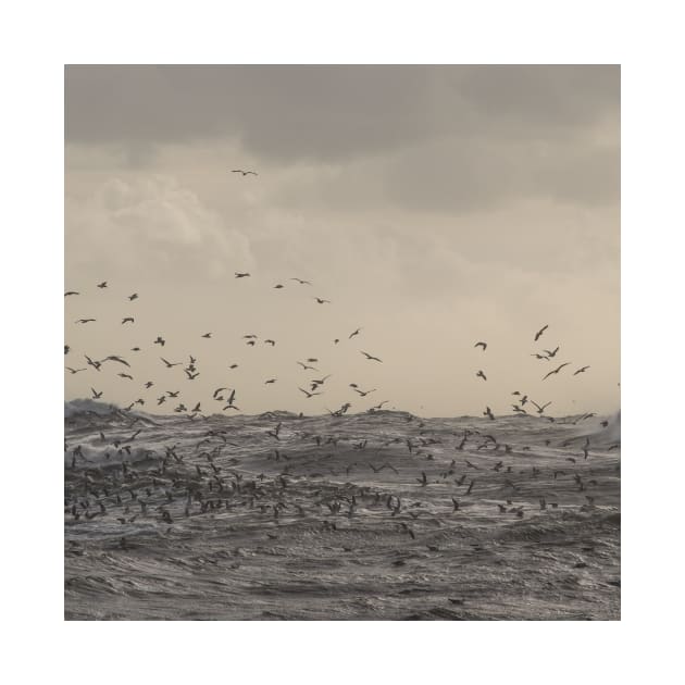 Seagulls over the stormy sea by RoseAesthetic