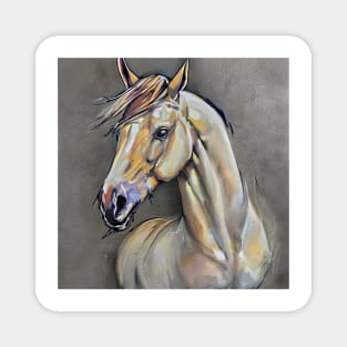 portrait of a white horse Magnet