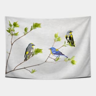 Spring Warbler Birds Tapestry