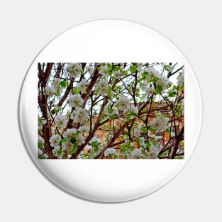 Manitou Springs Blossoms Pin