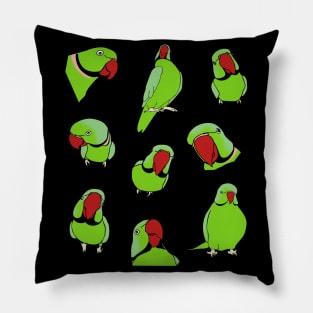 green indian ringneck pattern Pillow