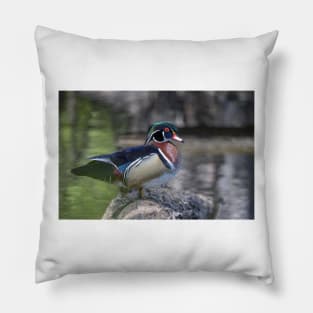 Wood duck perched on a log Pillow