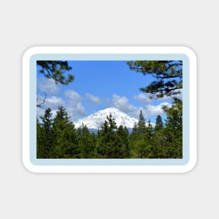 Mount Shasta, California Magnet