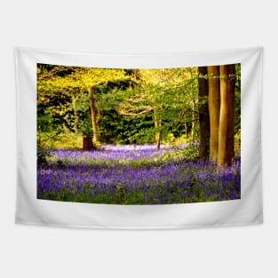 Bluebell Woods Basildon Park Reading Tapestry