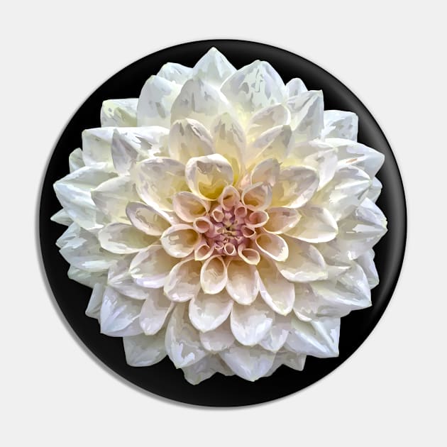 Pretty white Dahlia Botanical Bee Flower Annual Garden Pin by BurunduXX-Factory