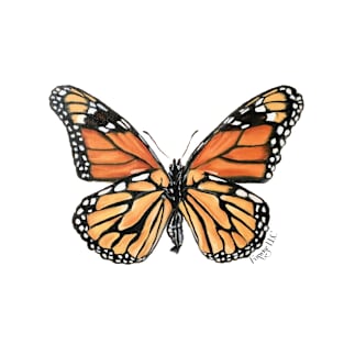 Monarch Butterfly T-Shirt