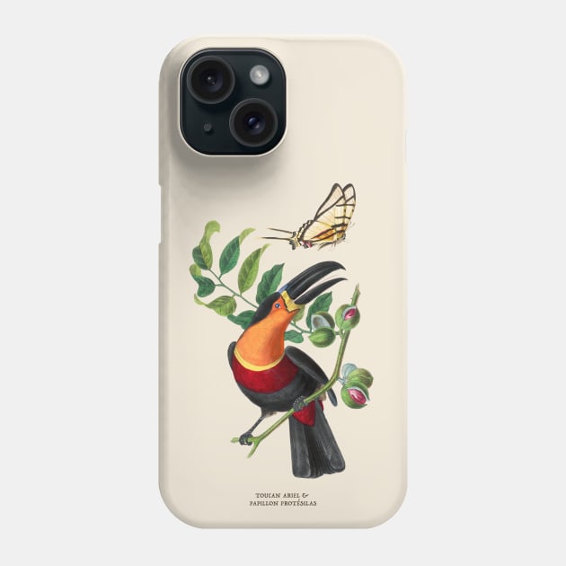 Toucan and Butterfly Antique Naturalist Illustration Phone Case by Antiquated Art