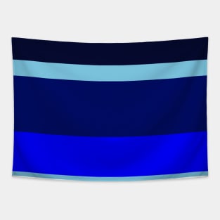 An elegant mix of Lightblue, Primary Blue, Darkblue and Dark Navy stripes. Tapestry