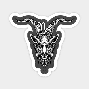 Capricorn - Astrology Sign Magnet