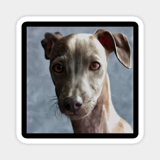 I Love Dogs, The Best Friends, Italian Greyhound Magnet