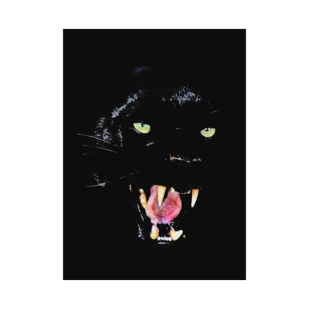 Black Jaguar Face Portrait by Jaguarts