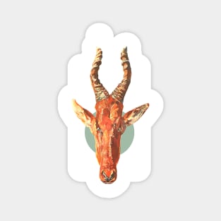 Goat head with horns Magnet