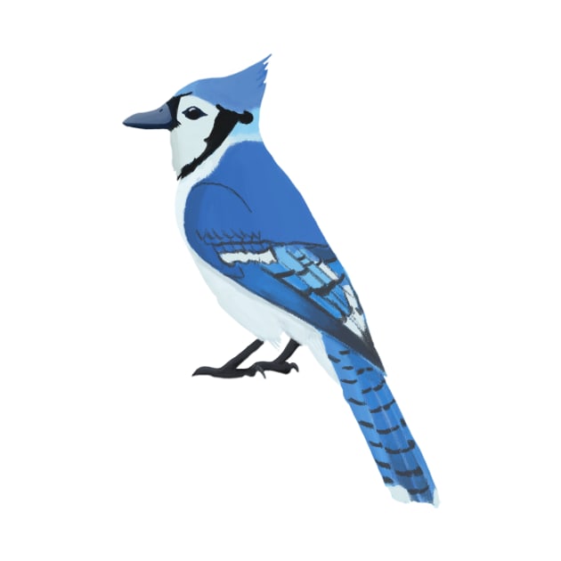 Blue Jay by College Mascot Designs