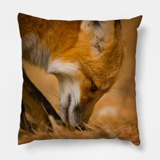 Red Fox Pillow