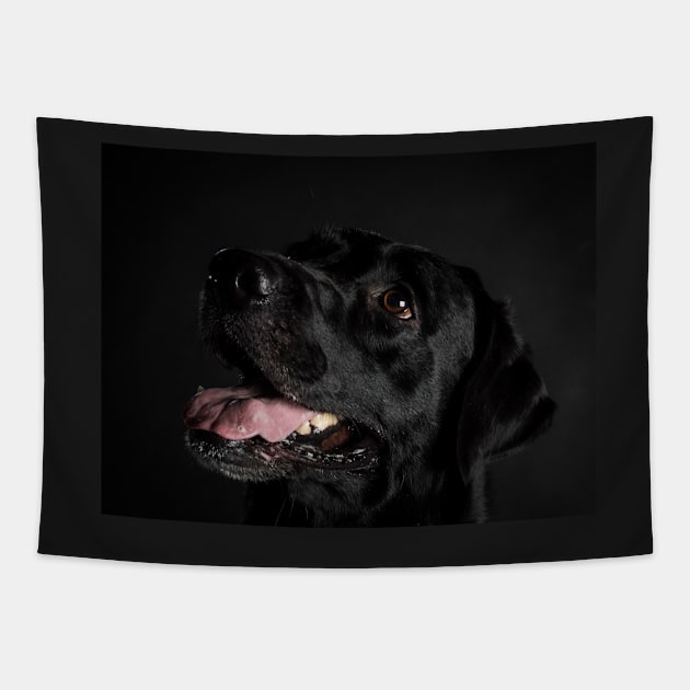 Labrador Retriever Tapestry by ansaharju