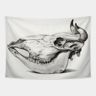 Animal skull Tapestry