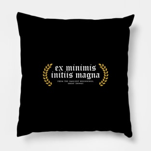 Ex Minimis Initiis Magna - From The Smallest Beginnings, Great Things Pillow