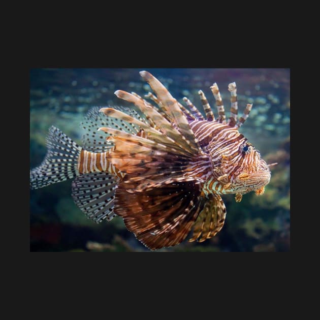 Lionfish by Jacquelie