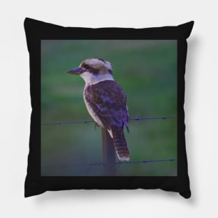 Kookaburra II Pillow