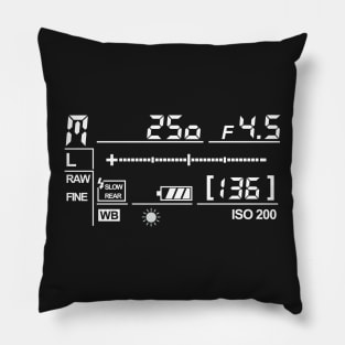 Camera Display Pillow