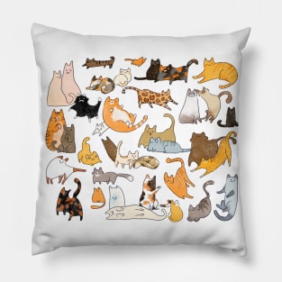 Cat Breeds Pattern Pillow