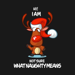 I Am Not Sure What Naughty Means Reindeer Matching Group T-Shirt